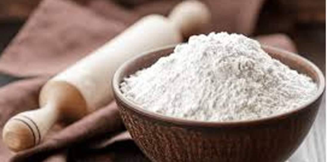 গুলিবর্ষণের পরেও আত্মবিশ্বাসী দিশা, ক্যালভিন ক্লেইনের র‌্যাম্পে